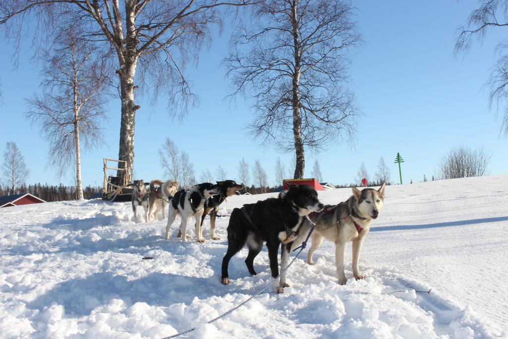 Nordic Lapland Frevisoren Batskarsnas Exterior photo